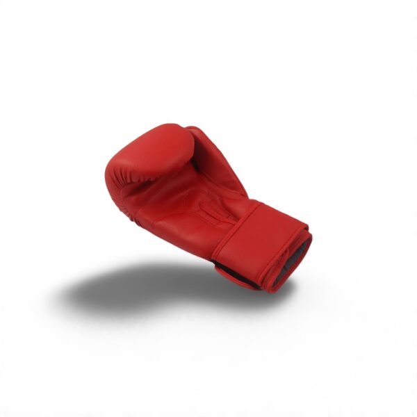 Gants de Boxe Petra – Image 6