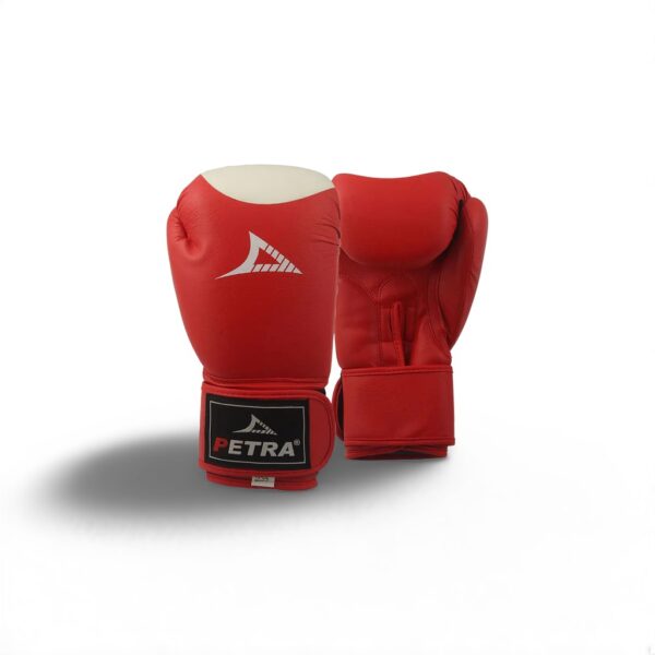 Gants de Boxe Petra – Image 4
